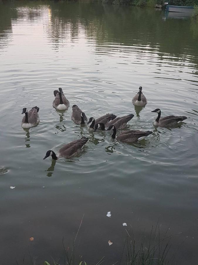 Elton Barn Fishery & Retreat Nottingham Zewnętrze zdjęcie